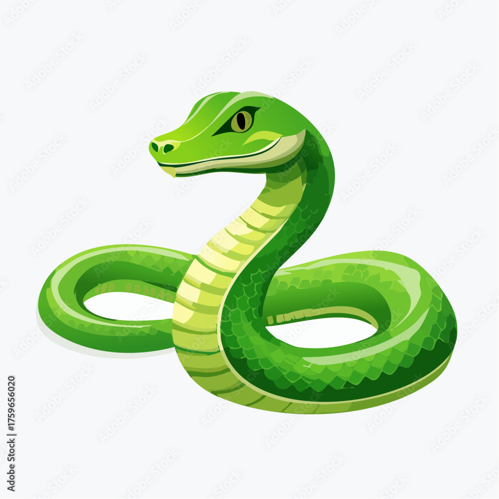 Fototapeta premium Stylized Green and White Coiled Snake Vector Illustration with Raised Head.