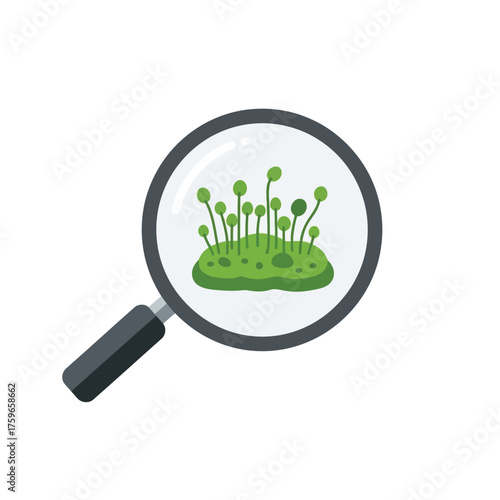 Magnifying glass focused on green microscopic organisms.