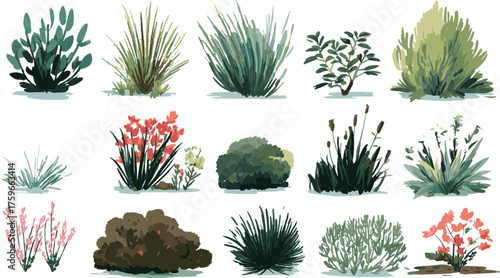 Vector art of watercolor bushes and shrubs set collection of different garden and wild plants, hand drawn illustration