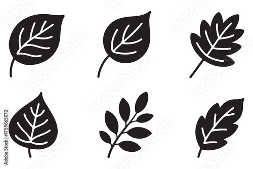 Set of different leaf silhouettes isolated on white background, simple botanical foliage icons collection
