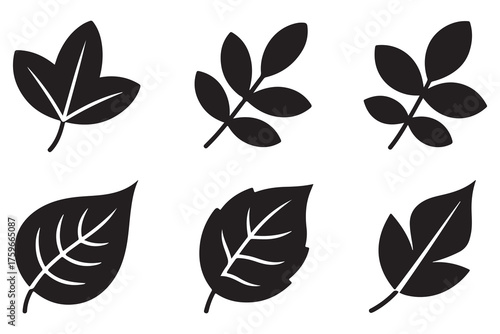 Set of different leaf silhouettes isolated on white background, simple botanical foliage icons collection
