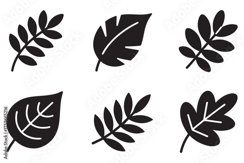 Set of different leaf silhouettes isolated on white background, simple botanical foliage icons collection
