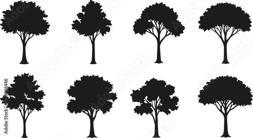 Collection of black tree silhouettes isolated on white background, vector illustration showing different deciduous tree types for nature artwork design