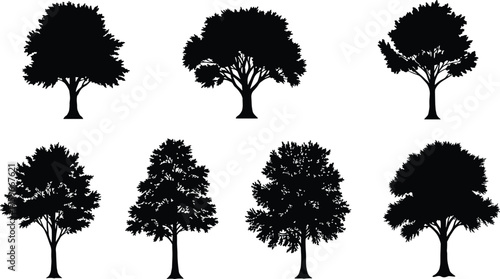 Collection of seven detailed black tree silhouettes isolated on white background, vector illustration for nature, forest, landscape, and eco design