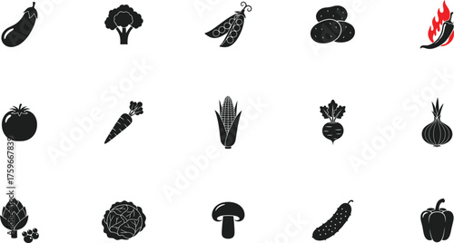 vegetable vector set with tomato carrot corn and peas perfect for healthy food packaging and menu design