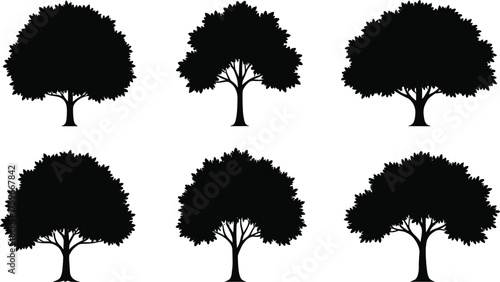 Collection of black tree silhouettes isolated on white background, detailed natural forest tree vector illustration for eco, nature, and design projects