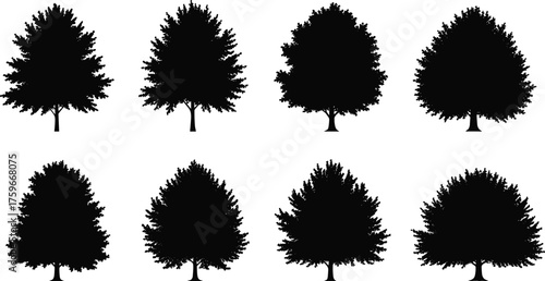 Collection of black tree silhouettes isolated on white background, vector illustration of different natural forest trees for landscape design