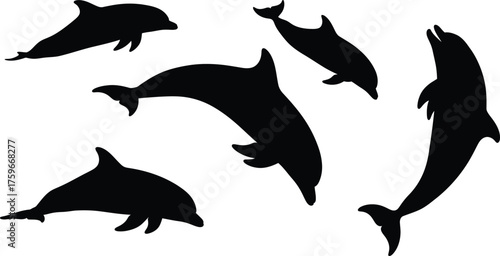 dolphin silhouette set perfect for ocean design nature themes and aquatic creative vector illustrations
