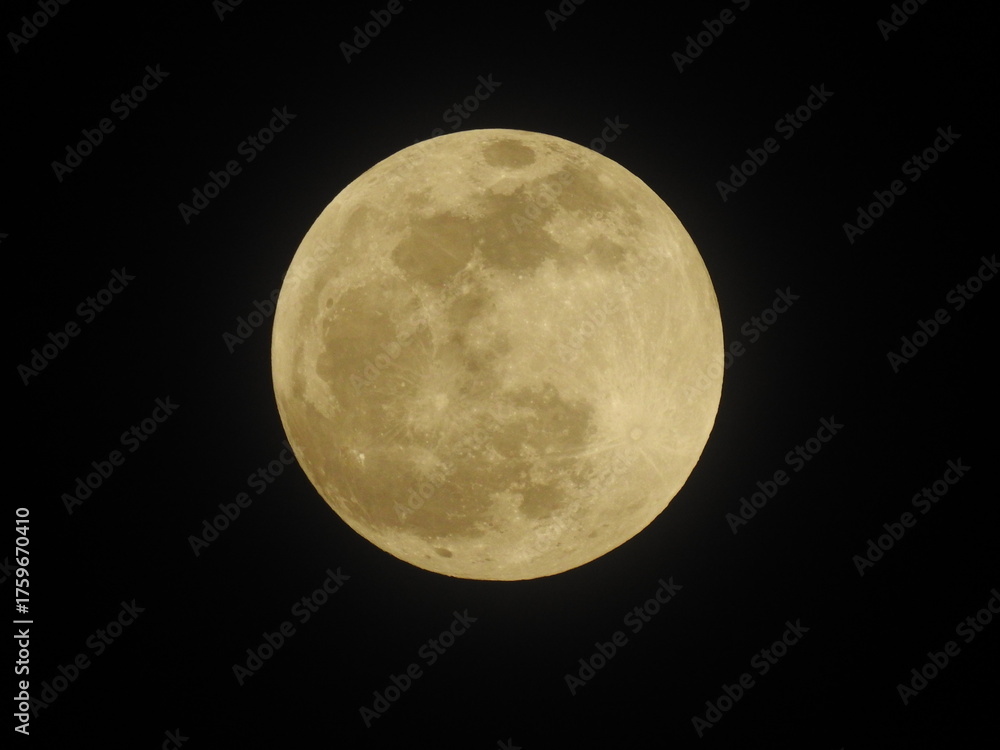 Obraz premium full moon in the night sky