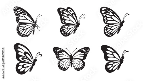Detailed Butterfly Illustration and Floral Design Set