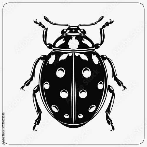 Stylized ladybug illustration. Symmetrical black and white insect graphic. Vector symbol for good luck or a nature logo.