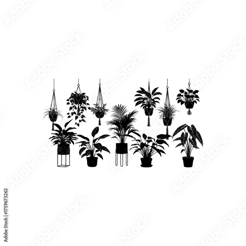 Collection of Silhouette Houseplants in Various Pots and Hanging Baskets.