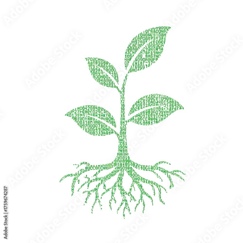A plant and its roots made of green digital code.