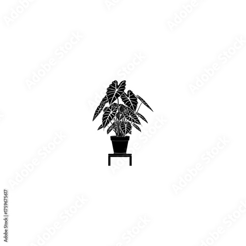 Black and white silhouette of a potted elephant ear plant on a stand.