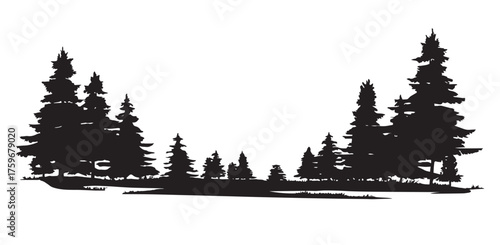 silhouette of an overgrown coniferous forest with fir and pine trees showing natural landscape with grass and trees perfect for nature outdoor and wilderness themed vector designs
