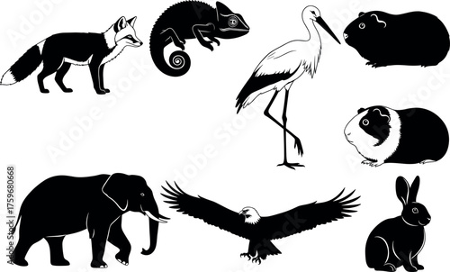 Black and white animal silhouettes including fox, elephant, eagle, rabbit, stork, chameleon, guinea pig, ideal for wildlife vector design