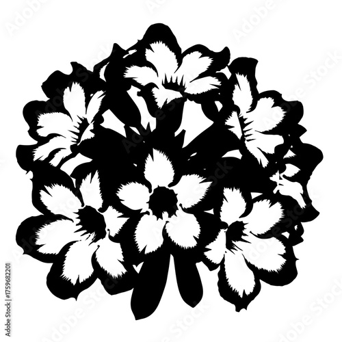 black and white silhouette vector icon of Adenium flower on white background