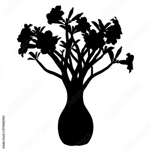 black and white silhouette vector icon of Adenium flower on white background
