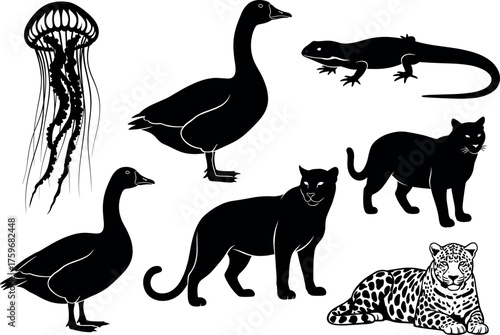 Silhouette vector set of wild animals including jellyfish, geese, cats, leopard, and lizard for nature and wildlife themes.