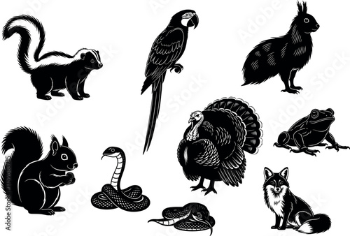 Wild Animal Line Art Collection Featuring Fox, Parrot, Skunk, Snake, Frog, Turkey, Rabbit, Squirrel – Black and White Vector
