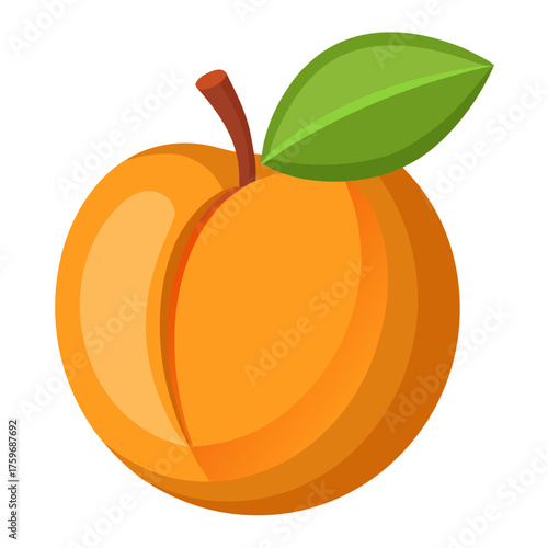 apricot