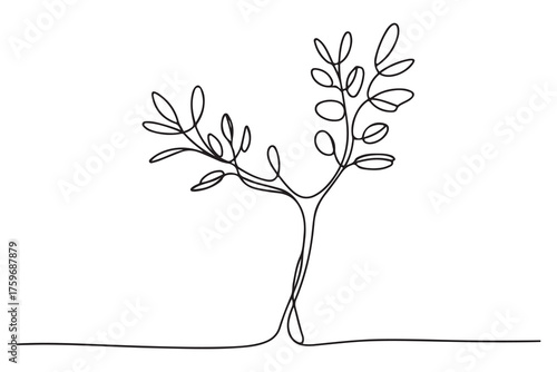 Continuous one line drawing of a young tree with branches and leaves, minimalist nature concept illustration

