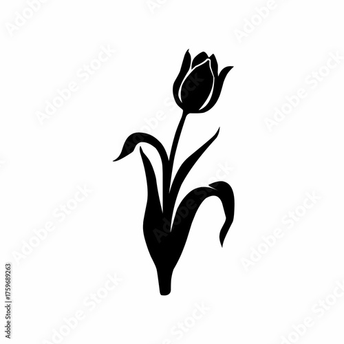 Elegant Tulip Flower Silhouette Illustration for Spring Designs