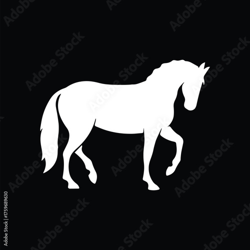 Majestic Equine Stallion Outline
