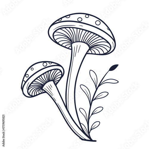 Colorful Mushroom Vector Set – Fly Agaric, Wild Forest, Cute Cartoon, Boho Silhouette, and Fantasy Glow Illustration