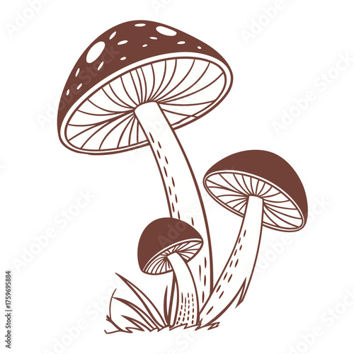 Colorful Mushroom Vector Set – Fly Agaric, Wild Forest, Cute Cartoon, Boho Silhouette, and Fantasy Glow Illustration