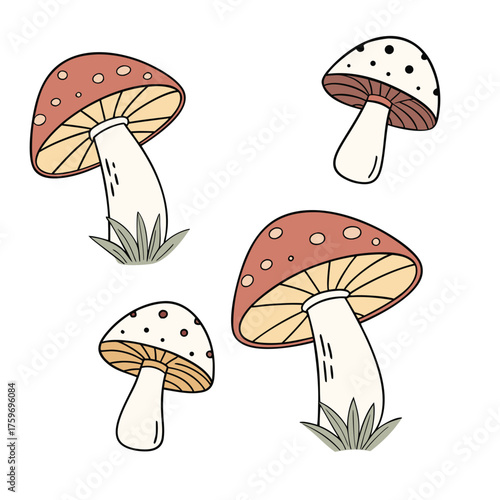 Colorful Mushroom Vector Set – Fly Agaric, Wild Forest, Cute Cartoon, Boho Silhouette, and Fantasy Glow Illustration