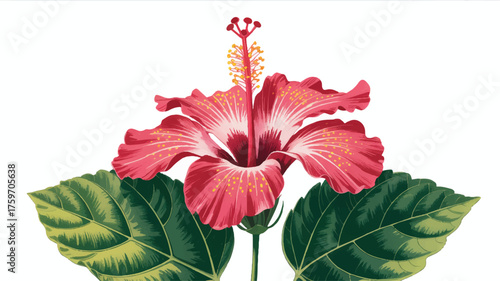 A vibrant illustration of a tropical hibiscus flower in deep pink with yellow speckles throughout its petals.  
