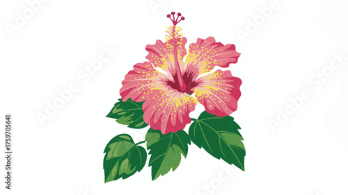 A vibrant illustration of a tropical hibiscus flower in deep pink with yellow speckles throughout its petals.  

