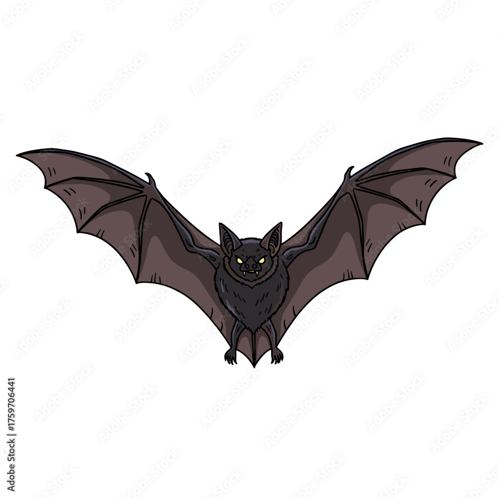 Fototapeta premium Detailed Bat Design