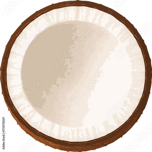 Halved coconut with white flesh and brown husk tropical fruit