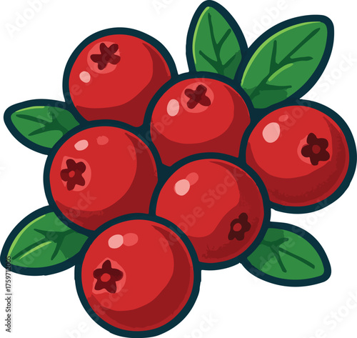 Red berries with green leaves illustration cranberry