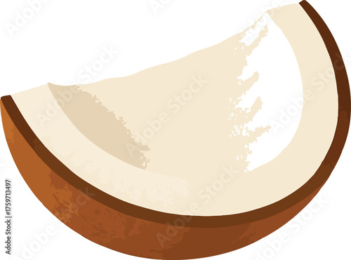 Slice of coconut with brown husk and white flesh fruit
