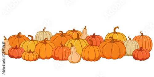 Pumpkin patch vector set. Bunch of autumn pumpkins. Hand drawn pumpkin squash in different colors and shapes.