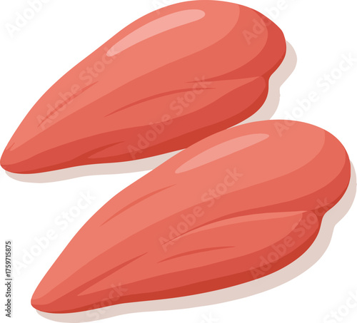 Two raw chicken breasts on white background poultry