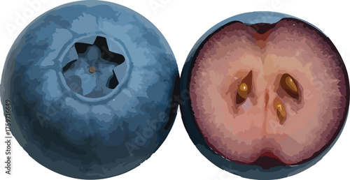 Whole blueberry and half blueberry with seeds fruit