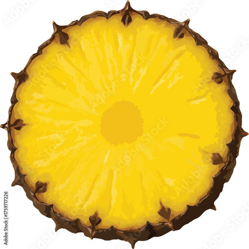 Yellow pineapple slice with brown spiky rind fruit