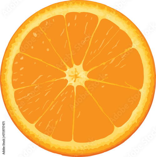 Bright orange citrus fruit slice with segmented pulp