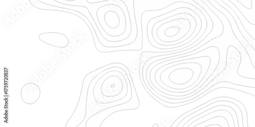 Abstract topographic White wave paper curved reliefs. Seamless swirl wave contour maps. Vector illustration. topography line map. 