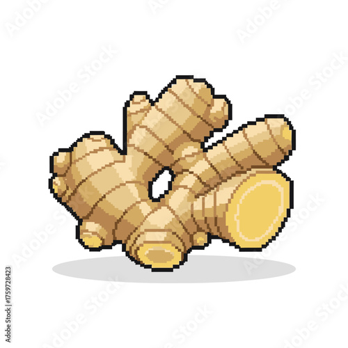 Pixel Art Ginger Root Minimalist Herbal Botanical Vector