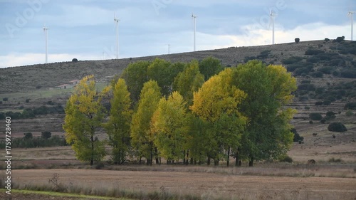 Beautiful Nature Scene with Wind Turbines and Clouds at Sunset