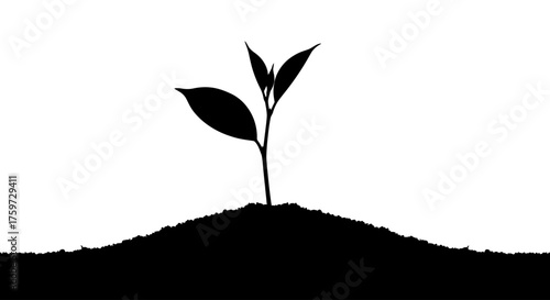A young plant seedling emerges from a small mound of soil, depicted in silhouette against a white background.