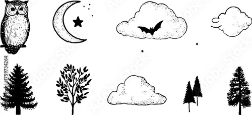 Nocturnal nature elements featuring owl bat moon stars and trees for celestial design