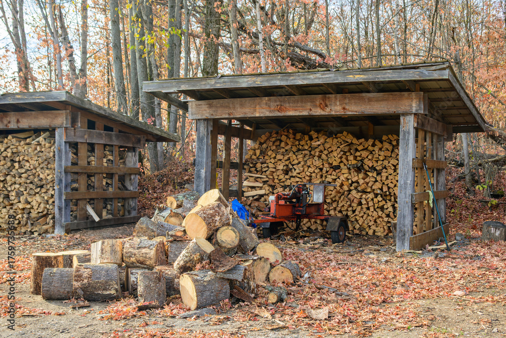 Fototapeta premium firewood being split and stacked into a drying shed in fall shot in the Ottawa Valley