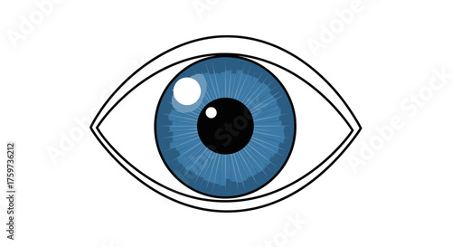 A stylized illustration of a human eye, featuring a blue iris and a black pupil, with detailed outlines.