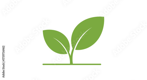 Simple illustration of two green leaves growing upwards, representing new life.
